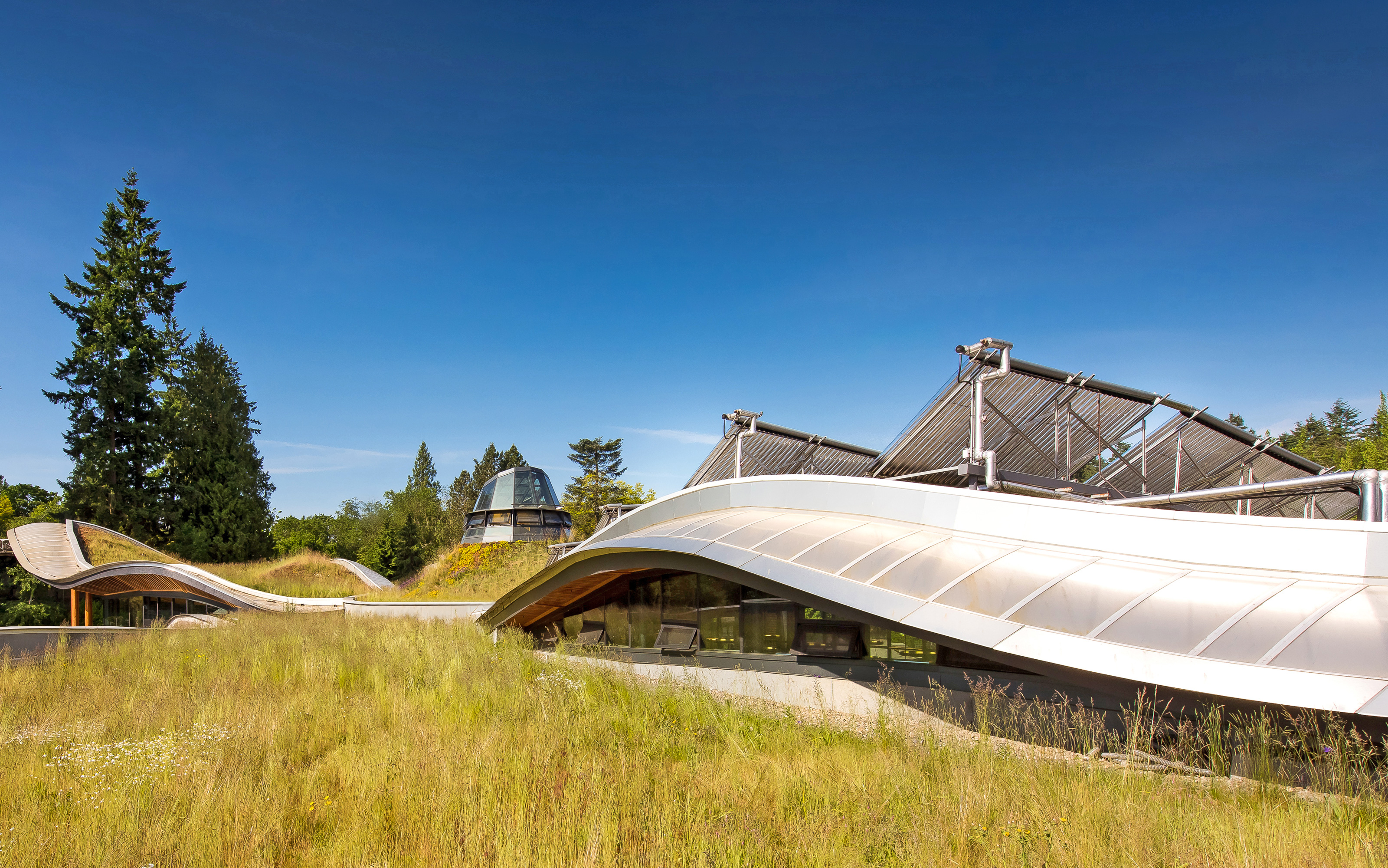 Undulating green roof and solar hot water tubes 